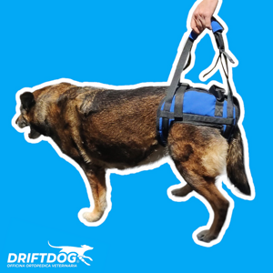 rear-sling-harness-with-brief-style-support