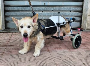 img_20251208_215721.jpeg img_20251208_215721.jpeg