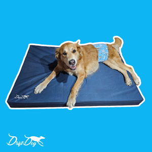 materassino-antidecubito-ortopedico-per-cani