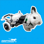 rear-wheelchair-for-rabbit