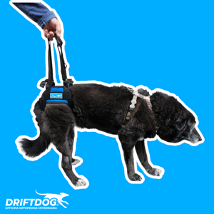 rear-sling-harness-with-brief-style-support