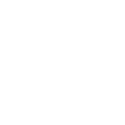 DriftDog - Logo - Per Cani e Altri Animali Disabili: Carrellini su Misura - Ausili Ortopedici - Protesi e Tutori - Soluzioni Tecniche per Veterinari con Stampa 3D - Shop Online - Catania