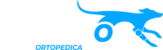nuovo logo driftdog (solo azzurro e bianco)