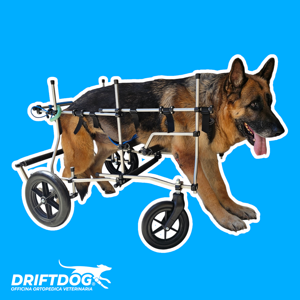 four-wheeled-wheelchair-front-and-rear
