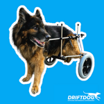 rear-wheelchar-for-dog