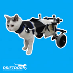 rear-wheelchair-for-cat