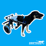 carrellino-posteriore-per-cane