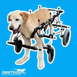 four-wheeled-wheelchair-front-and-rear