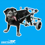 carrellino-posteriore-per-cane