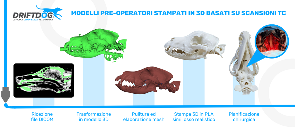 modelli pre-operatori stampati in 3d basati su scansioni tc