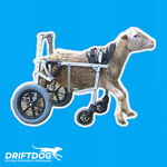 carrellino-per-altro-animale