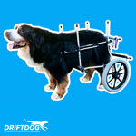 carrellino-posteriore-per-cane
