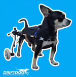 carrellino-posteriore-per-cane