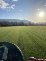 prato-a-rotoli-festuca-90-poa-10