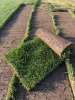 prato-a-rotoli-festuca-90-poa-10