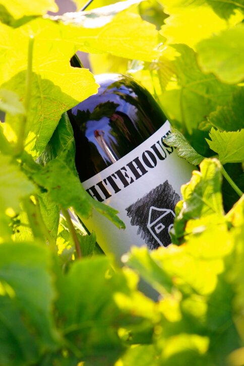 Logos Engineering registrazione marchi Marsala