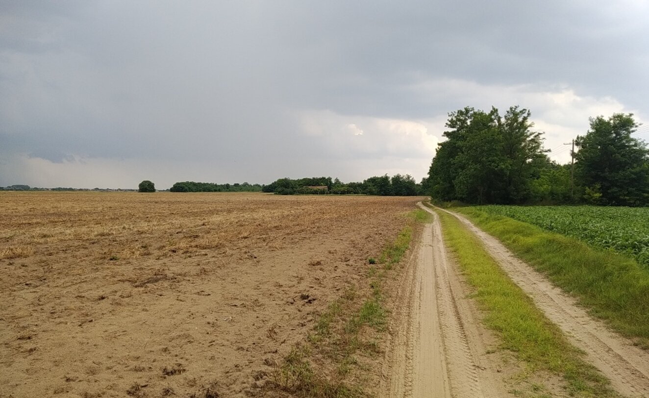 aussen weg.jpeg