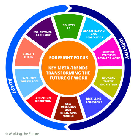 foresight focus meta-trends updated may 25.jpeg foresight focus meta-trends updated may 25.jpeg