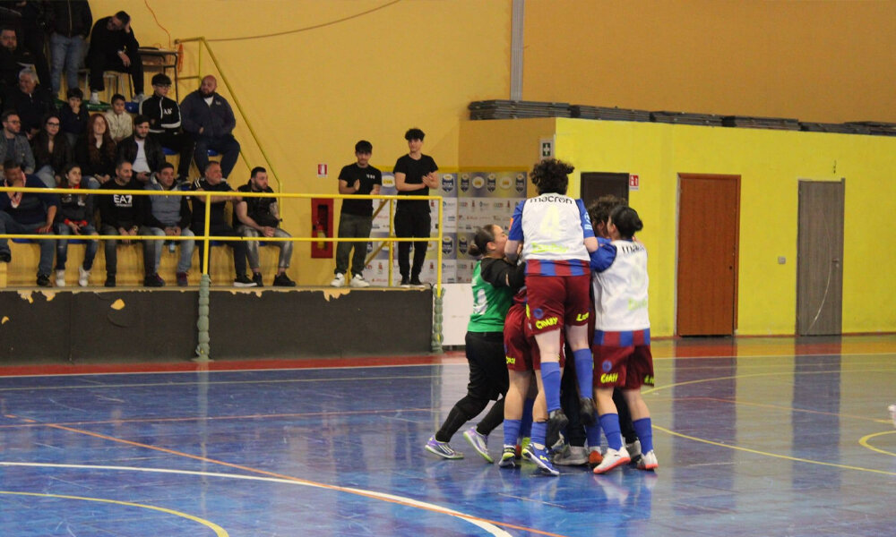 crazy-lions-femminile_3.jpeg crazy-lions-femminile_3.jpeg