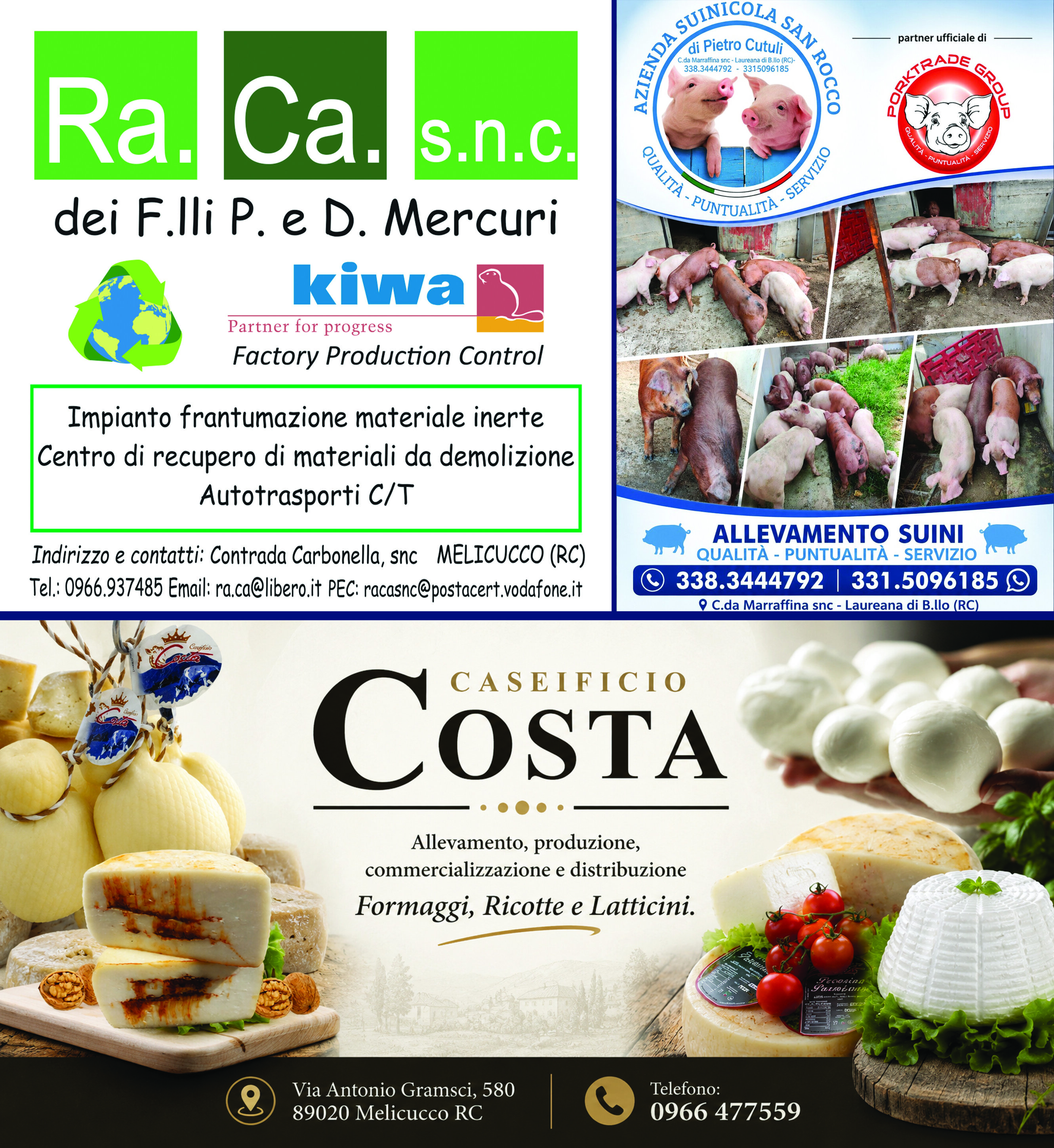 cittanova-pubblicità.jpeg cittanova-pubblicità.jpeg