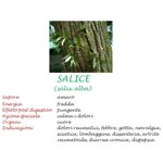 estratto-spagirico-salice-50-ml-aether