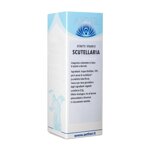 estratto-spagirico-scutellaria-50-ml-aether