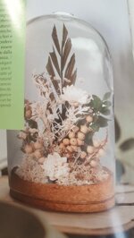 cloch-botanica-meridiani-focus