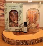 cloch-botanica-meridiani-serenity