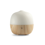 berry-diffusore-a-ultrasuoni-con-cromoterapia-usb