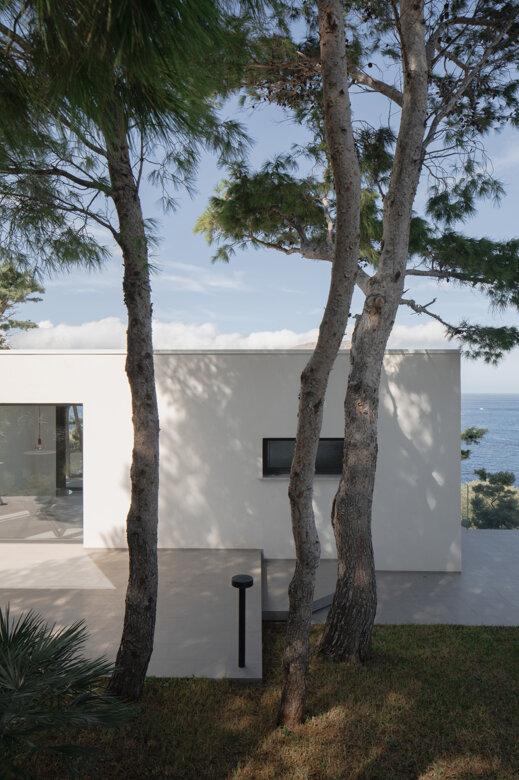 _l6a9900.jpeg _l6a9900.jpeg