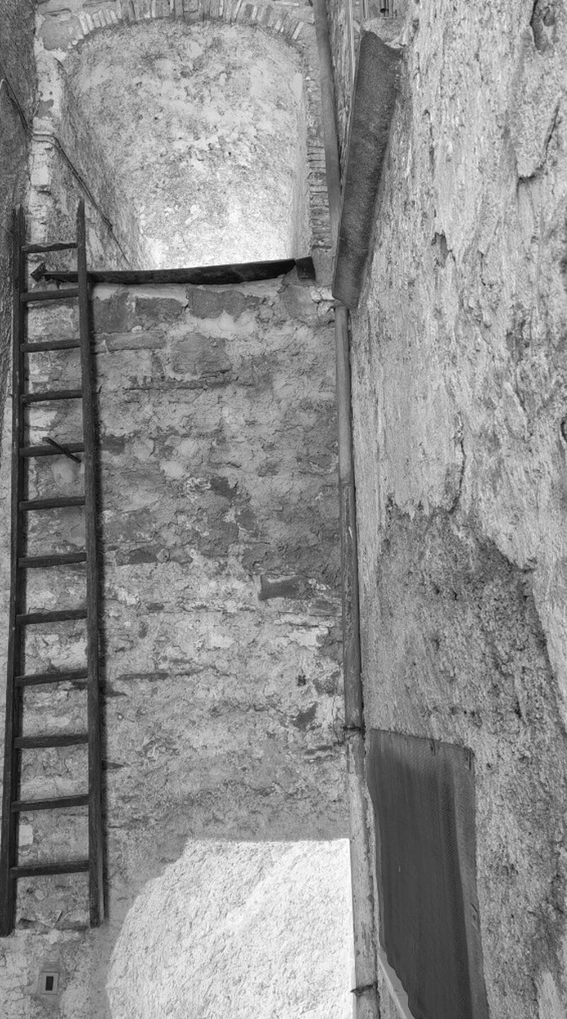 2087-img_20250420_103112196_hdr.jpeg