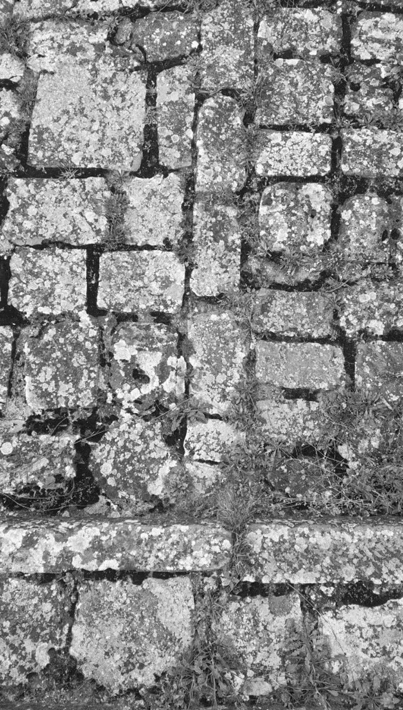 6661-img_20250419_190747390_hdr.jpeg