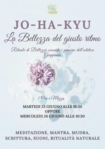 spazio ginkgo treviso, meditazione a treviso, centro di meditazione treviso