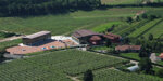 lerbaluce-di-caluso