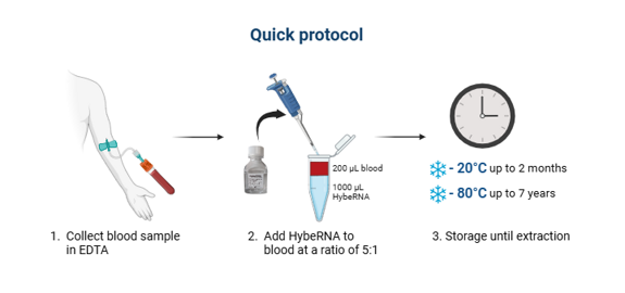 protocol