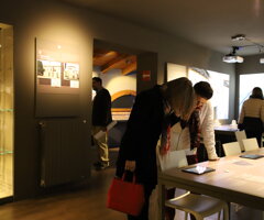 img_0368.jpeg img_0368.jpeg