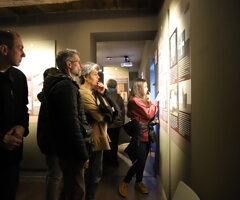 img_0345.jpeg img_0345.jpeg