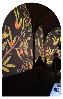 6-pesaro%20città %20cultura 6-pesaro%20città %20cultura