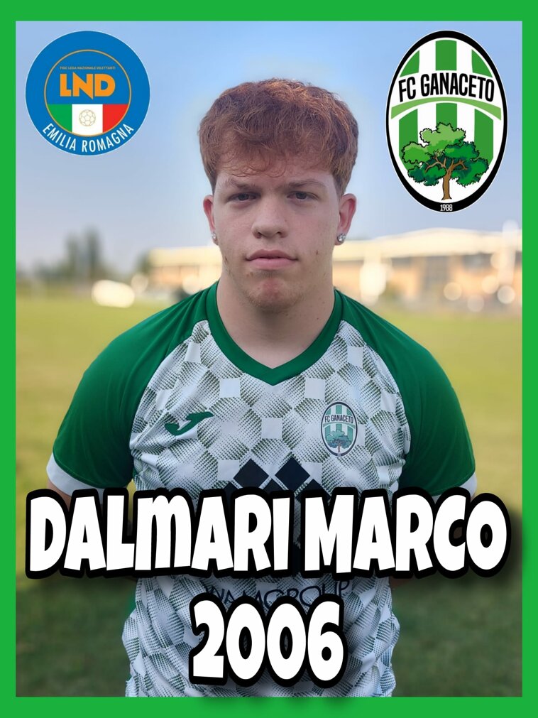 whatsapp image 2025-08-16 at 20.13.12.jpeg