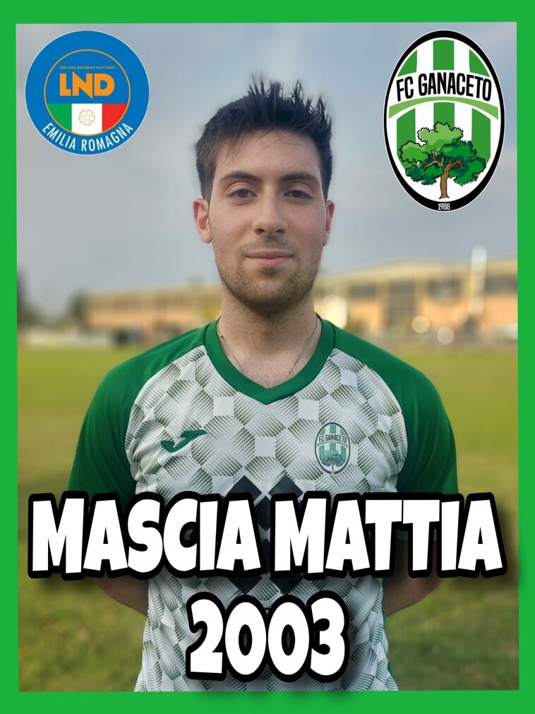 whatsapp image 2025-08-16 at 20.13.10 (2).jpeg