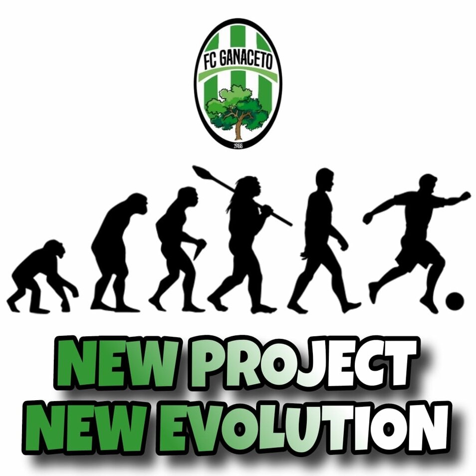 whatsapp image 2025-06-19 at 16.20.13.jpeg