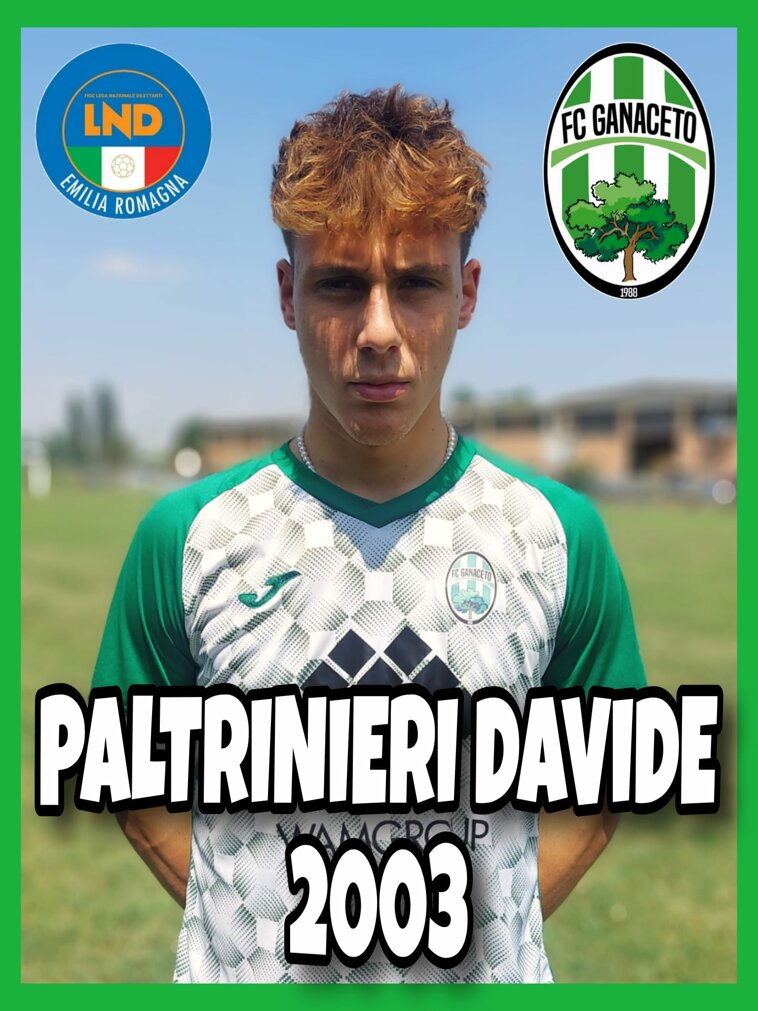 whatsapp image 2025-08-16 at 20.13.13.jpeg