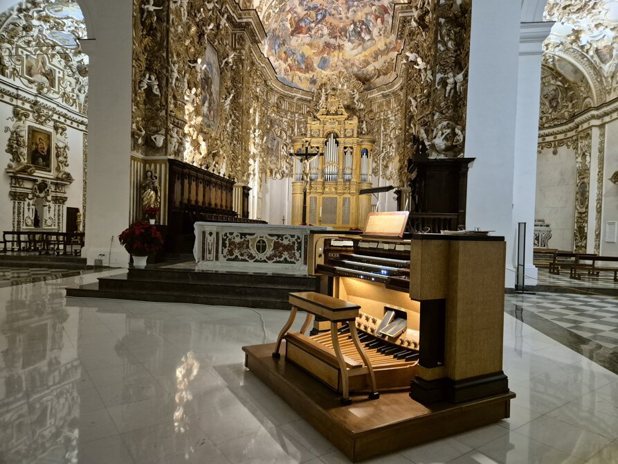 Organo a canne