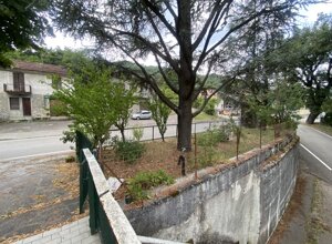 img_4839.jpeg img_4839.jpeg