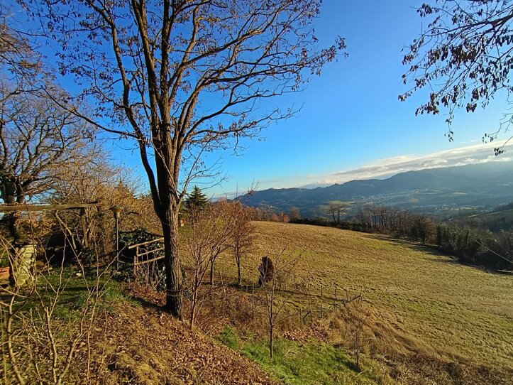 img-20260318-wa0005.jpeg