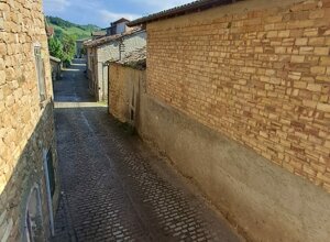 01f4039c45162c87cb138cb42c167eda 01f4039c45162c87cb138cb42c167eda