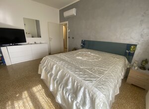 img_6963.jpeg img_6963.jpeg