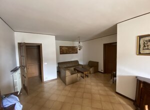img_3204.jpeg