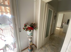 img_6961.jpeg img_6961.jpeg