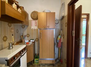 img_6353.jpeg